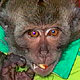 Agelia's Avatar